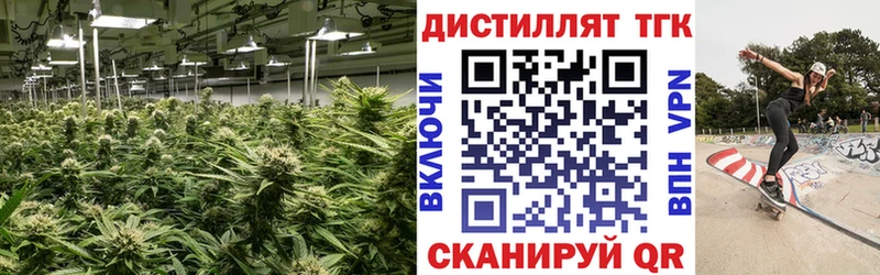 Дистиллят ТГК THC oil  Москва 